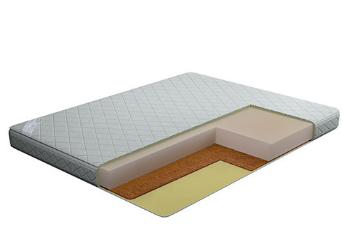 Leon_narrow.jpg Leon_narrow.jpg