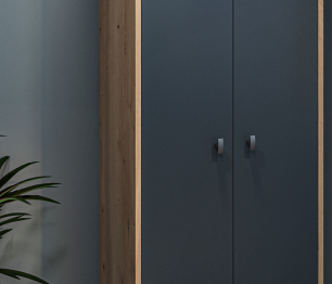 Шкаф 2 дверный Сидней СБ-2588 Дуб дикий/Диамант серый