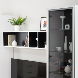 Шкаф-витрина Сидней 13.201, белый премиум, черный, белый глянец