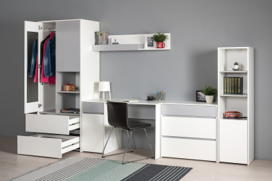 Шкаф для одежды Торонто 13.333