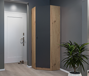 Шкаф угловой Сидней СБ-2589 Дуб дикий/Диамант серый