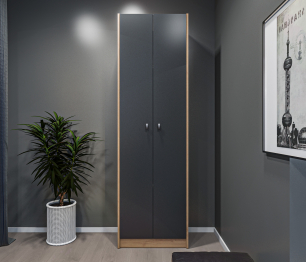 Шкаф 2 дверный Сидней СБ-2588 Дуб дикий/Диамант серый