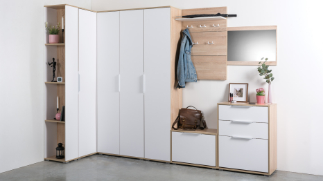 Шкаф для одежды Куба 13.137