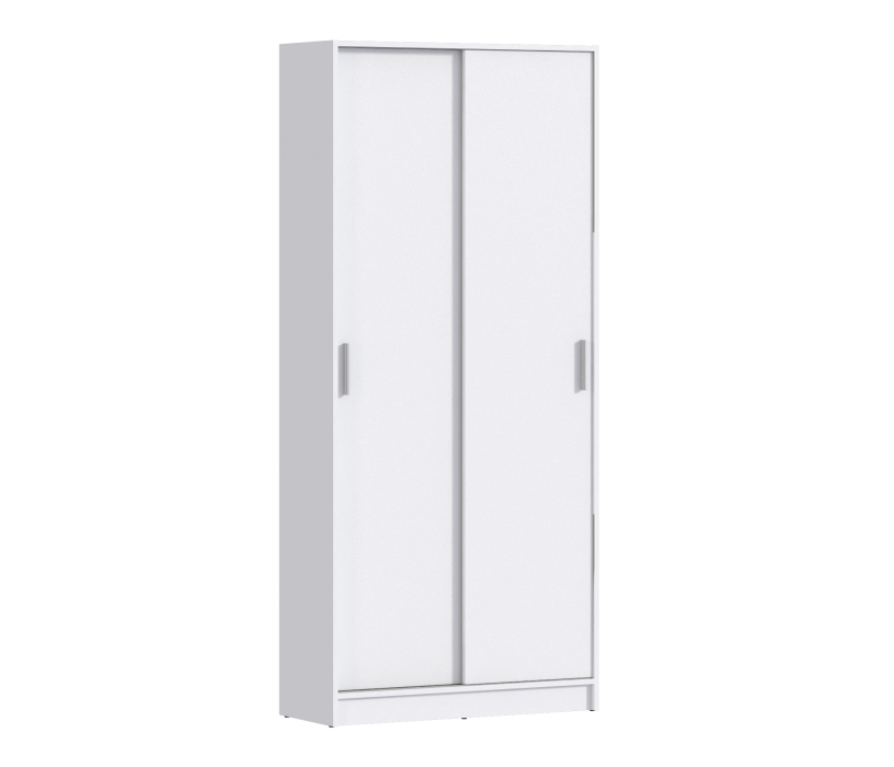 Шкафы-купе, Шкаф-купе 2-х дверный Терра СБ-2545